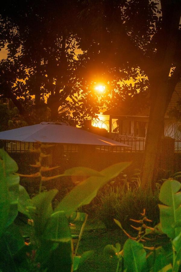 Cycad Entebbe Guest House Zewnętrze zdjęcie